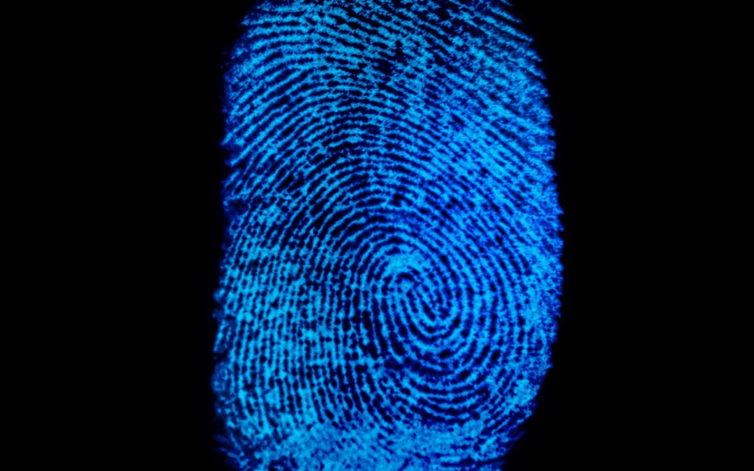 Everything You Should Know About Fingerprinting