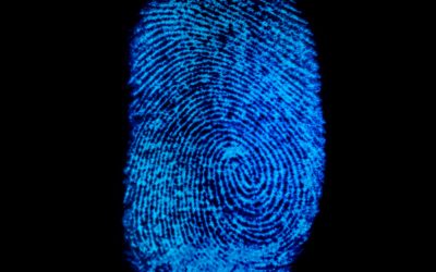 Everything You Should Know About Fingerprinting
